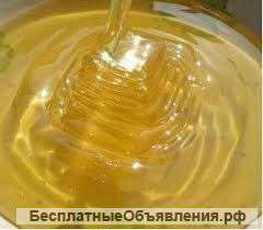Мед башкирский липовый от производителя