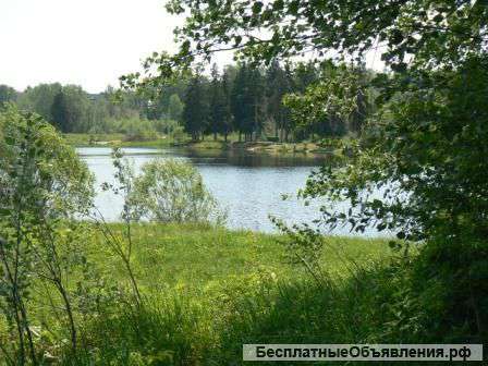 Участки на 1 линии р.Хотча.