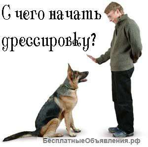 Защитно караульная служба