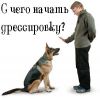 Защитно караульная служба