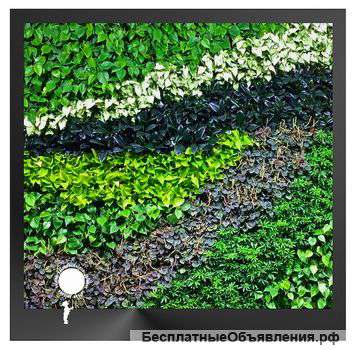 Фитостены, фитомодули, фитокартины