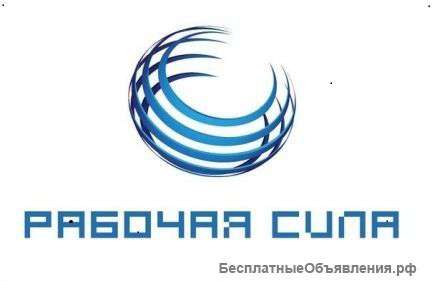 Разнорабочие и специалисты . Россияне. Грузчики