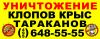 Услуги по уничтожению клопов, дезинсекция