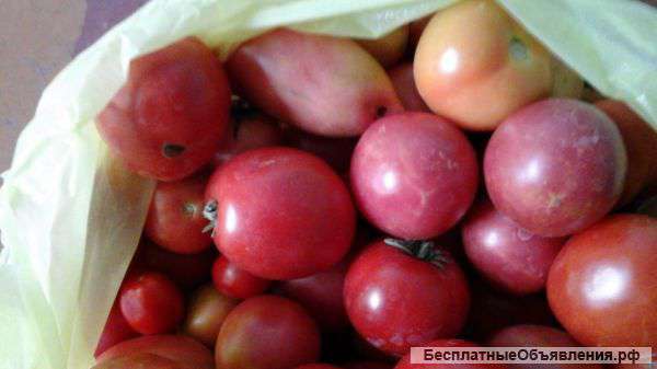 Овощи из сельской местности