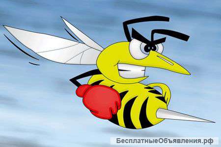Уничтожение О осиные гнезда в Самаре