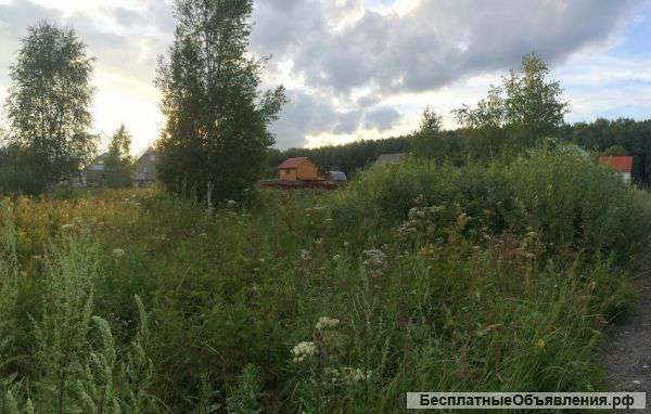 Дачный участок 10 соток