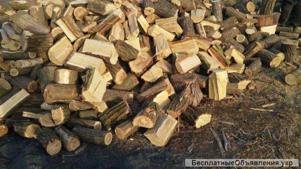 Дрова- дешевый обогрев зимой