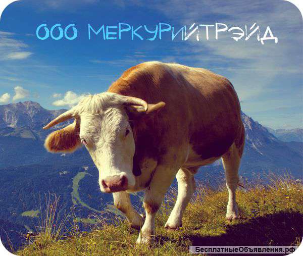 Оптовые поставки мяса из Республике Беларусь