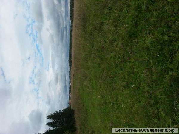 Участок в Краснокамском районе, (рядом с поселком Ласьва) 50 соток