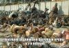 Куплю задвижки,шаровые краны,вентиля.затворы,отводы. и др