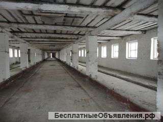 2 зем участка, коровник ,склад и гараж