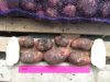 Картофель от производителя