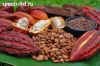 Какао Бобы, Порошок, Масло оптом. Прямые поставки.