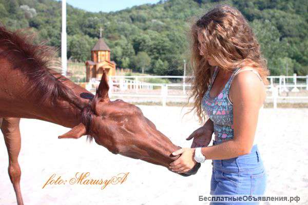 Фотопроект "Грация" с лошадьми