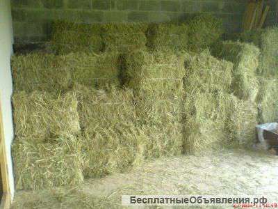 Сено луговых трав в тюках