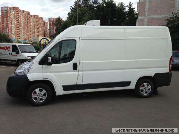 Водитель экспедитор на своем автомобиле рефрижератор