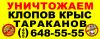 Укусы клопов фото, клопы фото , укусы клопов фото