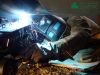 Требуются Газорезчики и Сварщики на производство