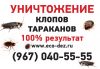 Уничтожение клопов и других насекомых