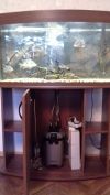 Аквариум AquaPlus + Стойка + Комплект