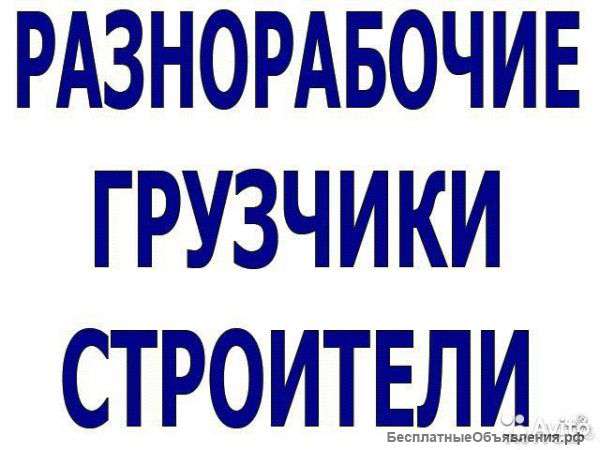 Разнорабочие
