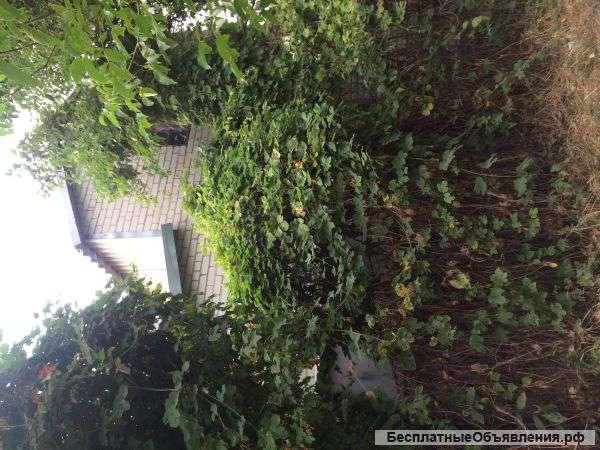 Земельный участок домом