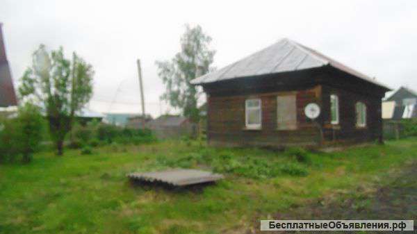 Дом в с. Зональное