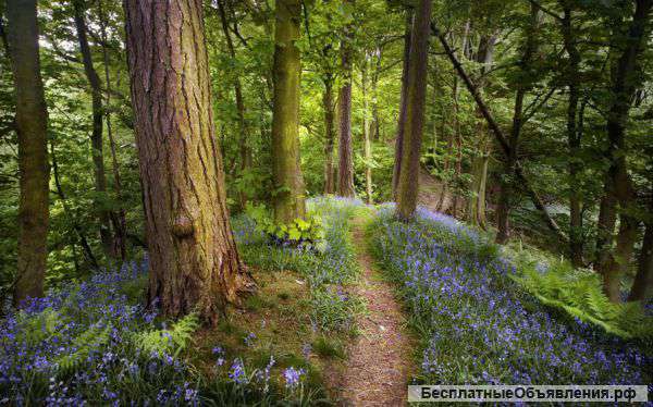 Земельные участки 8-15 соток Рассрочка