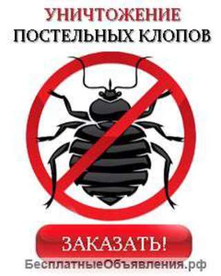 Уничтожение постельных клопов
