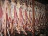 Мясо Птица Рыба Морепродукты