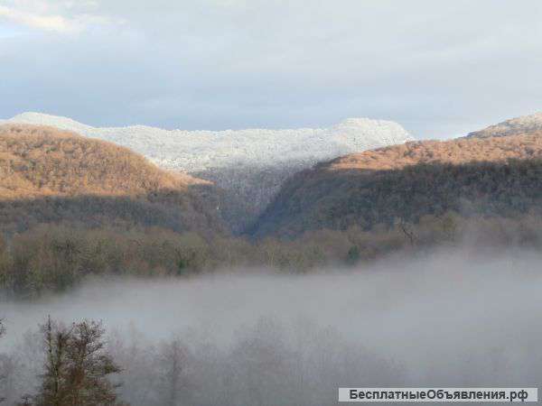 48 соток в 20 км. от моря в Сочи