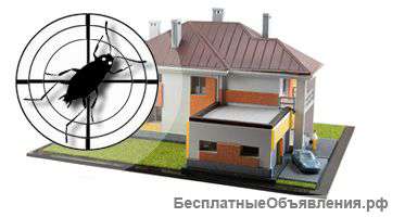 Дезинсекция