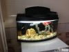 Красивый, современный аквариум AQUAEL