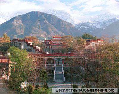 Йога тур, паломническое путешествие в Индию