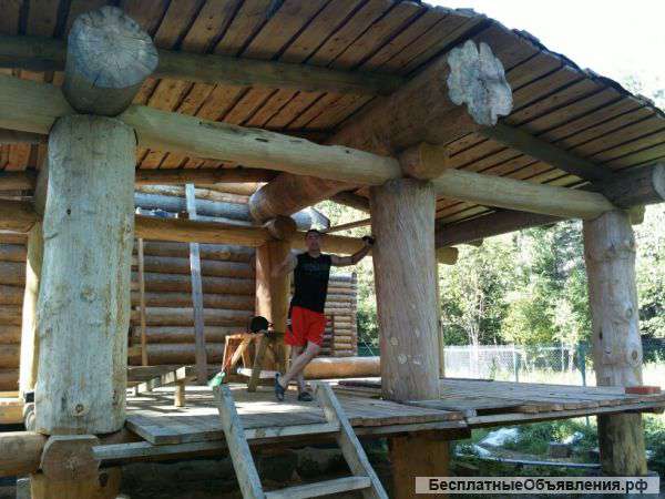 Дикие срубы домов, бань, беседок