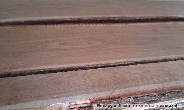 Дуб, бук, ясень, клен, карагач, акация от производителя оптом