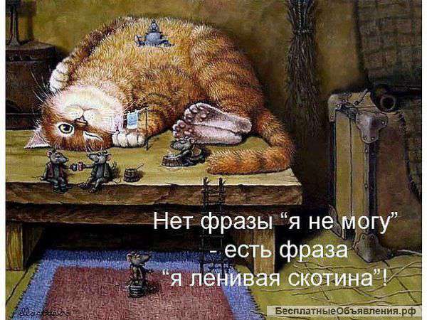 Ремонт ноутбуков замена видеочипов и матриц Пятигорск