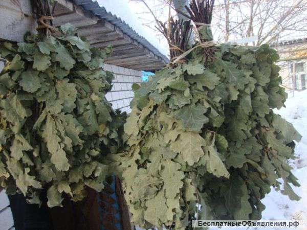 Банные веники оптом (дубовые и березовые)