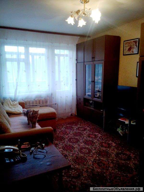 2-х комнатная квартира