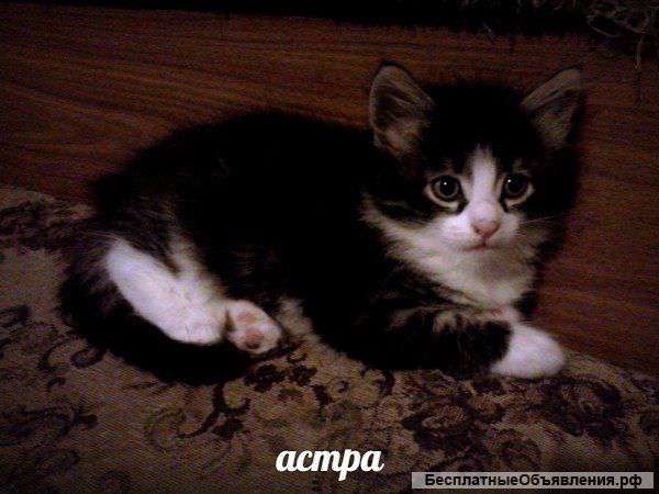 Возьмите меня