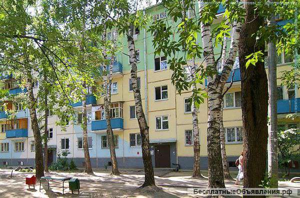 1-комнатная в центре Московского района