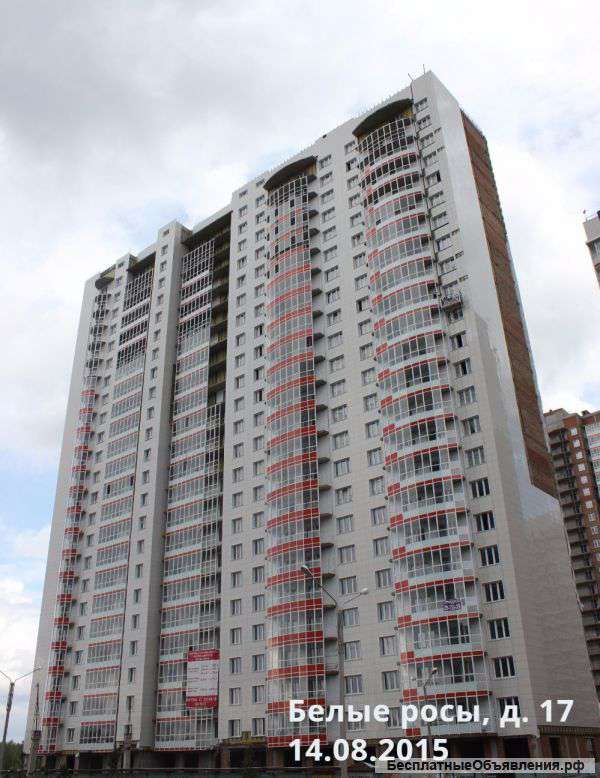 1 комнатная в Белых Росах