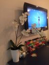 Мастер маникюра и педикюра