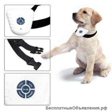 Ошейник Bark Stop