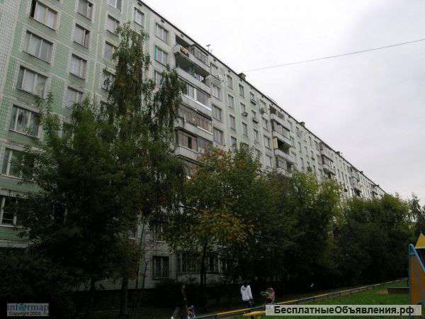 3к квартира в отрадном