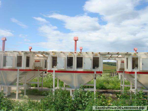 Кролиководческой фермы