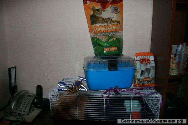 Клетка, переноска, домик, поводки цена за всё