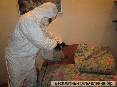 Дезинфекция