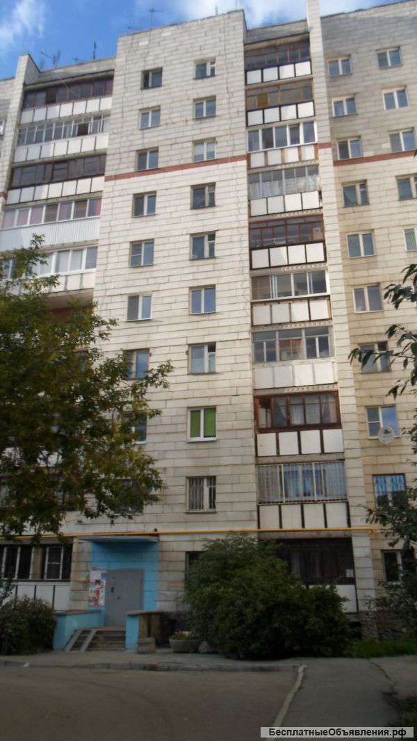 Сдам в аренду