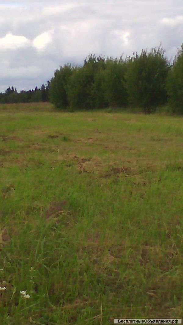 Участок (ИЖС)